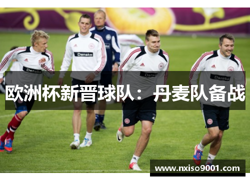 欧洲杯新晋球队：丹麦队备战